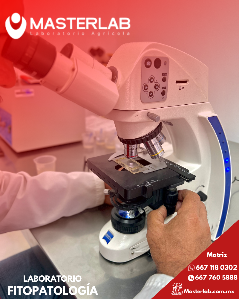 Laboratorio de Fitopatología