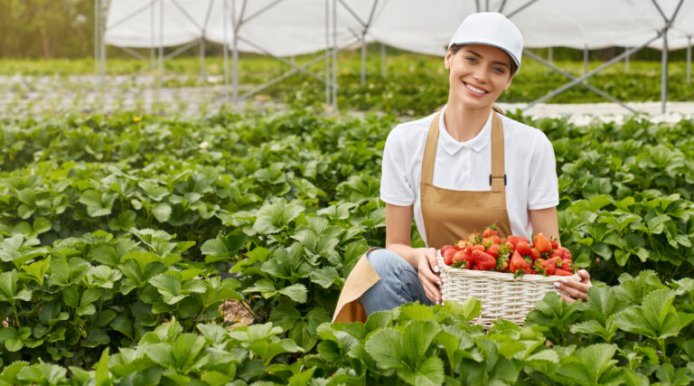 Transformando la Agricultura con Innovación y Eficiencia