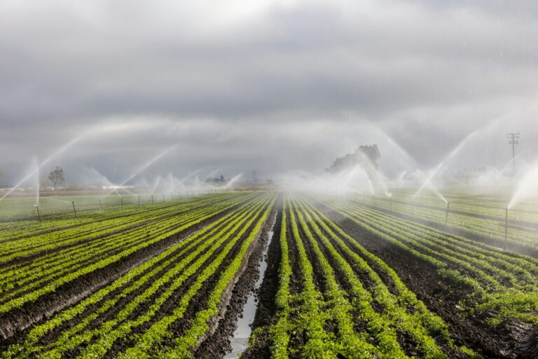 Agricultura Moderna