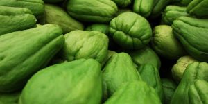 Análisis de cultivo de Chayote PLAGA EN CULTIVOS - ENFERMEDADES EN CULTIVOS