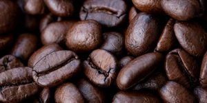 Análisis de Cultivo de Café (Cafetales) PLAGA EN CULTIVOS - ENFERMEDADES EN CULTIVOS